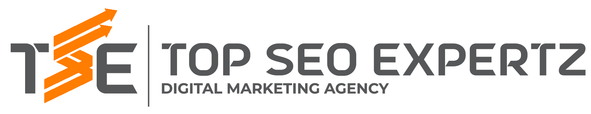 Top SEO Expertz Logo for Services